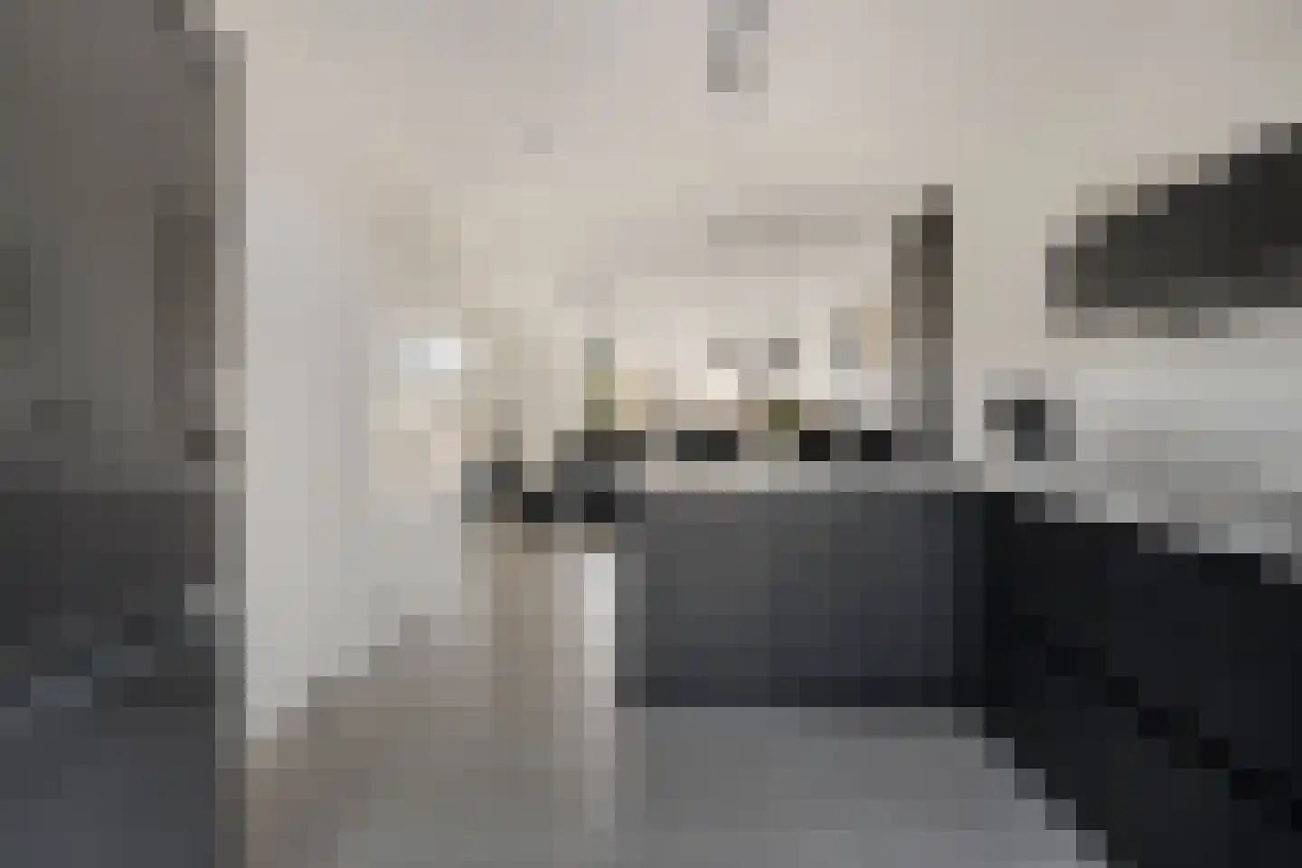 Apollovlinder 17 Terneuzen thumbnail 20