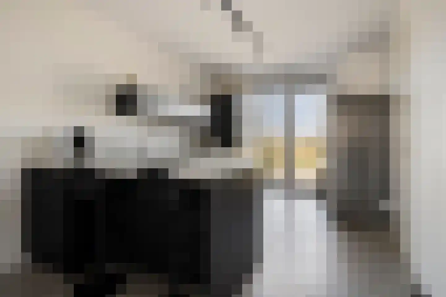 Apollovlinder 17 Terneuzen thumbnail 22