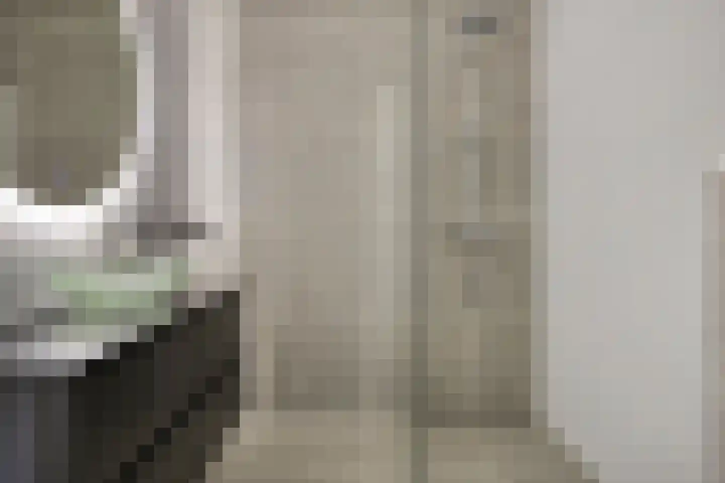 Apollovlinder 17 Terneuzen thumbnail 31