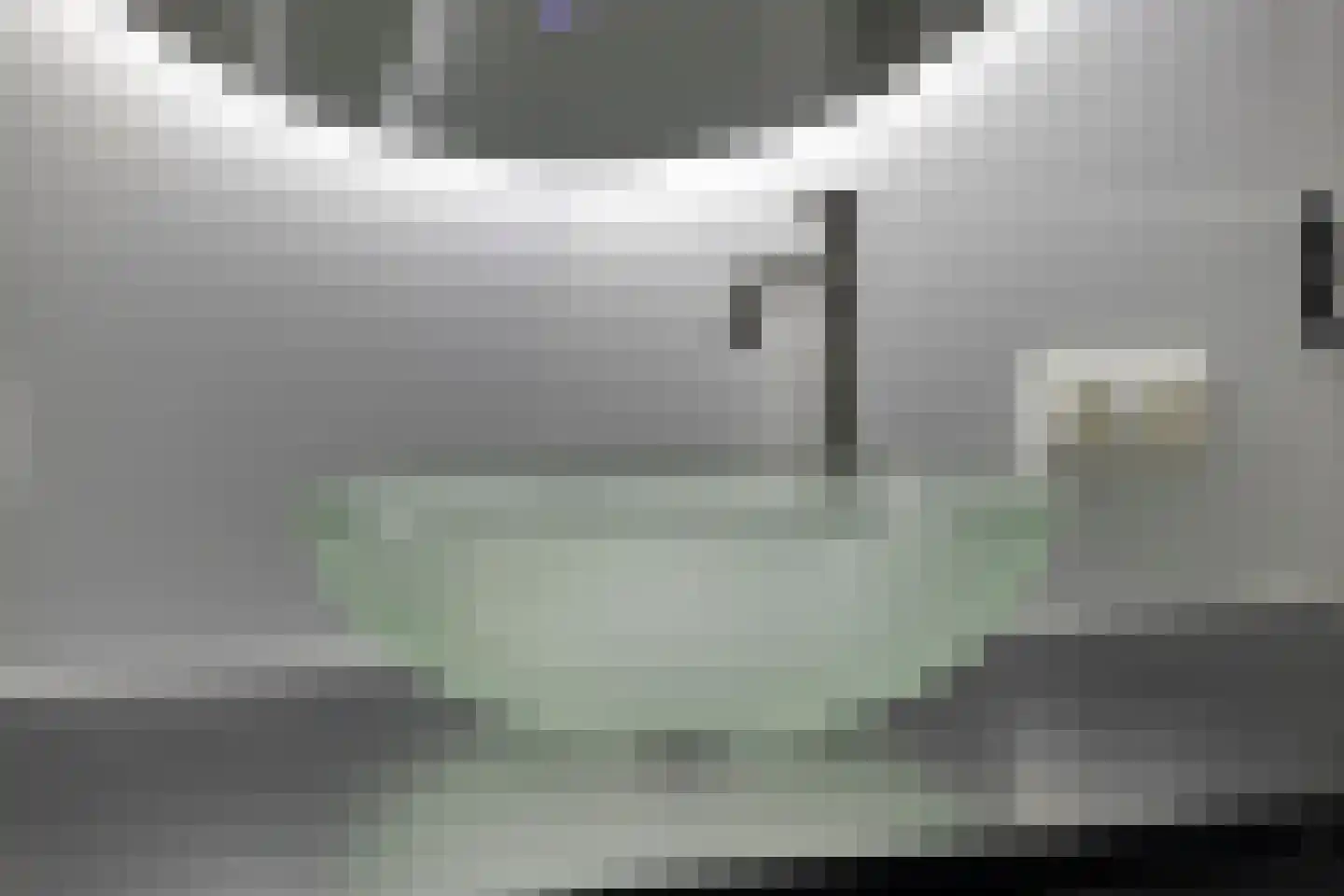 Apollovlinder 17 Terneuzen thumbnail 33