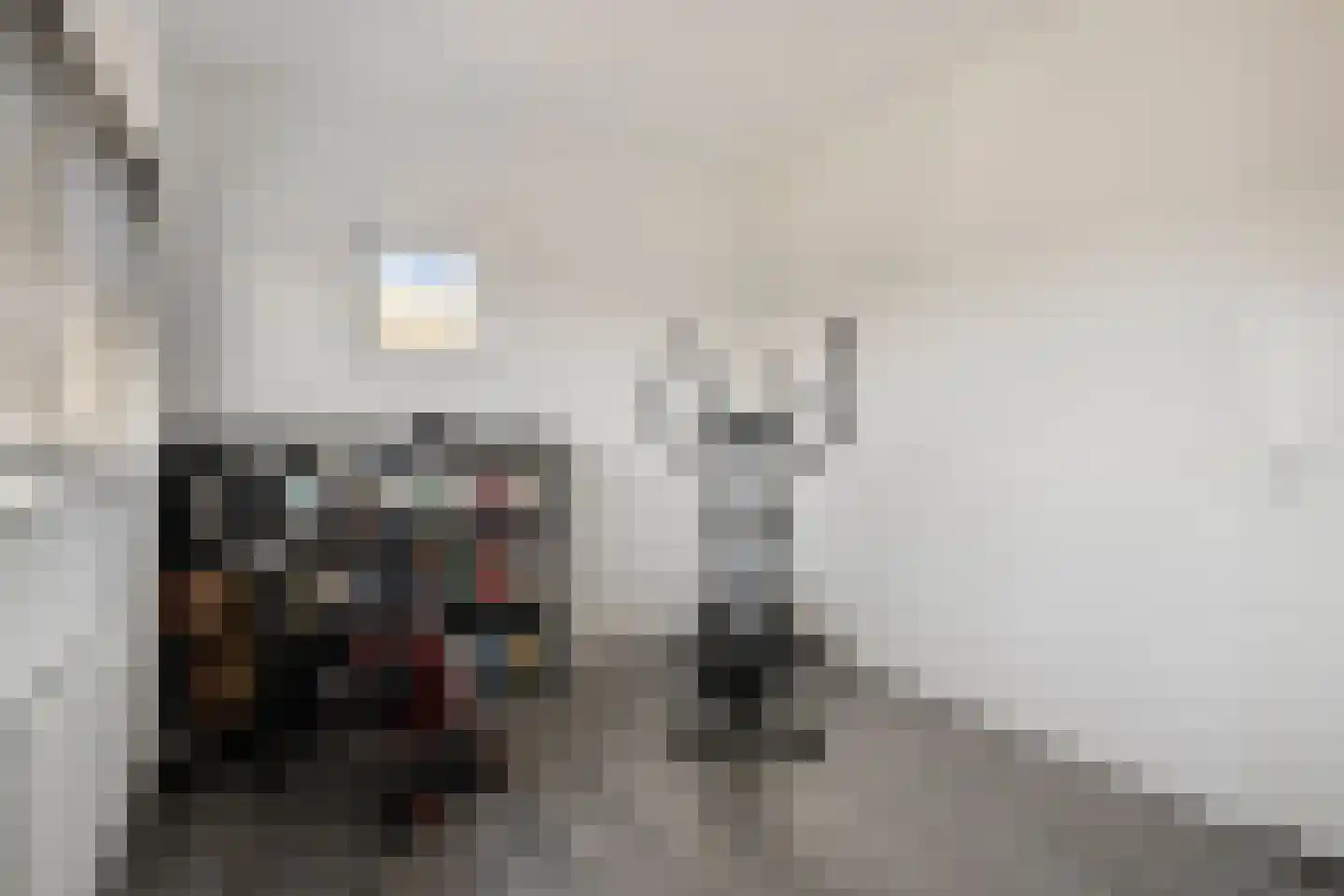 Apollovlinder 17 Terneuzen thumbnail 38