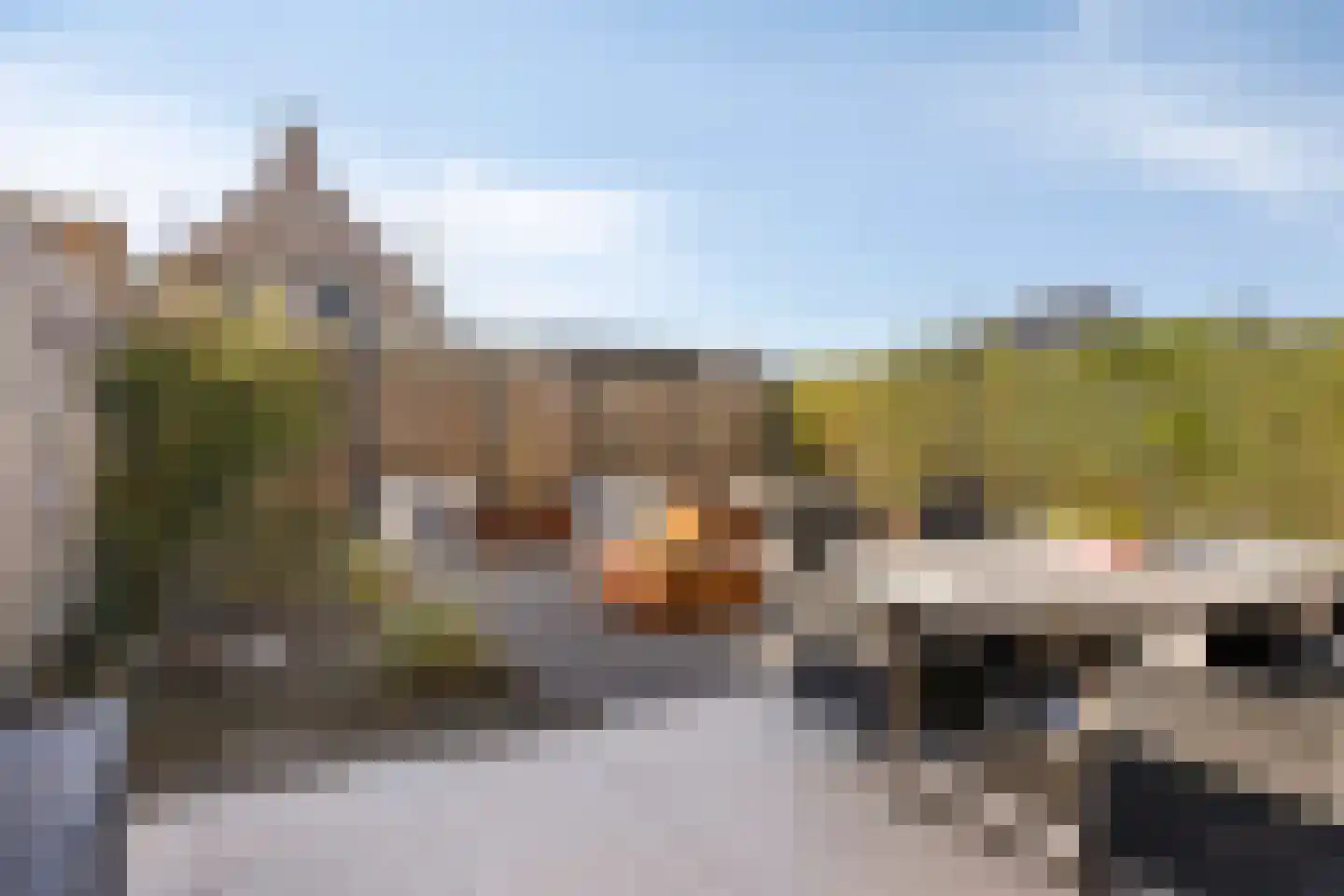 Apollovlinder 17 Terneuzen thumbnail 43