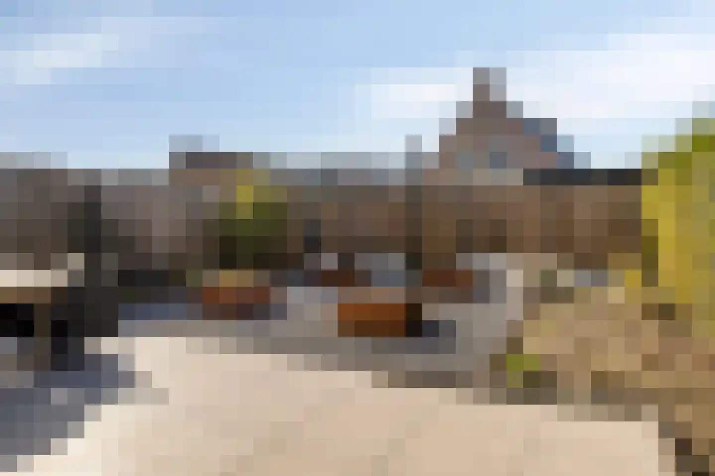 Apollovlinder 17 Terneuzen thumbnail 44