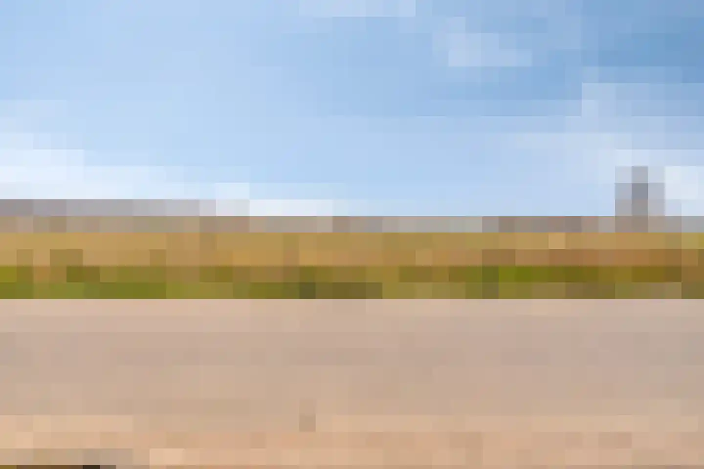 Apollovlinder 17 Terneuzen thumbnail 52