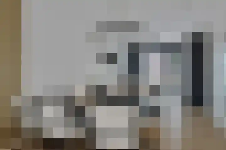 Apollovlinder 25 Terneuzen thumbnail 10