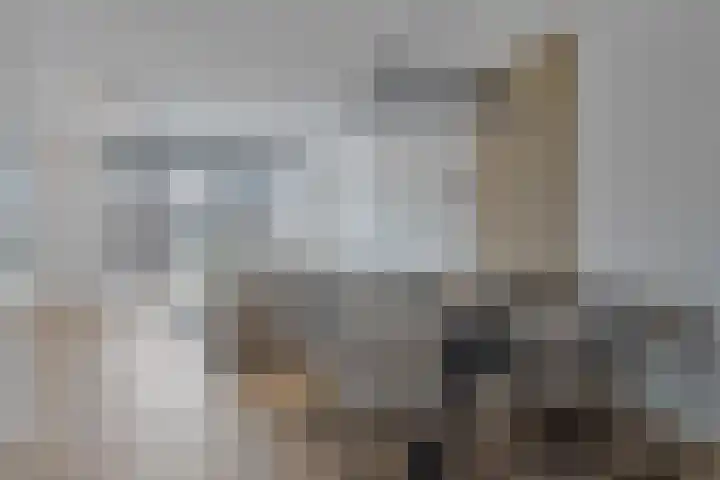 Apollovlinder 25 Terneuzen thumbnail 11