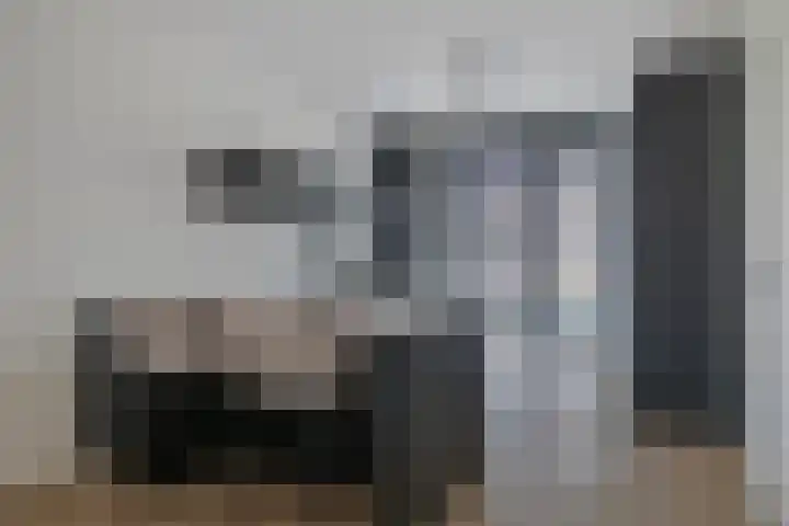 Apollovlinder 25 Terneuzen thumbnail 12