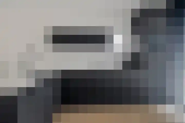 Apollovlinder 25 Terneuzen thumbnail 13