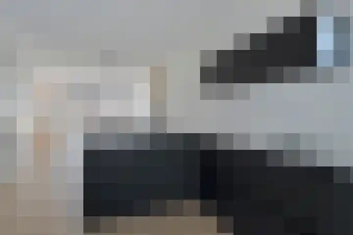 Apollovlinder 25 Terneuzen thumbnail 14