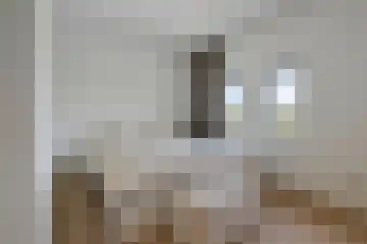 Apollovlinder 25 Terneuzen thumbnail 18