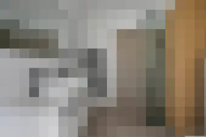 Apollovlinder 25 Terneuzen thumbnail 20