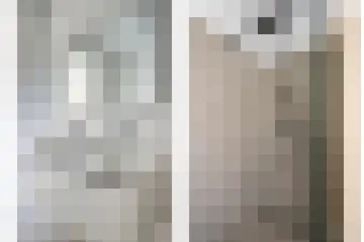 Apollovlinder 25 Terneuzen thumbnail 21
