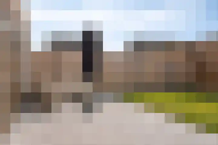 Apollovlinder 25 Terneuzen thumbnail 25
