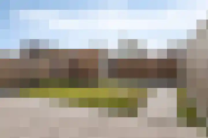 Apollovlinder 25 Terneuzen thumbnail 26