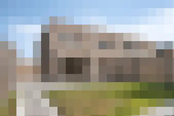 Apollovlinder 25 Terneuzen thumbnail 27