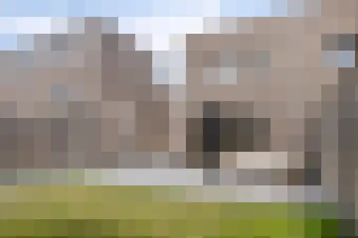 Apollovlinder 25 Terneuzen thumbnail 28