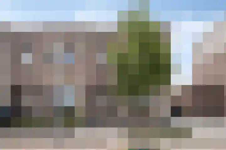 Apollovlinder 25 Terneuzen thumbnail 29