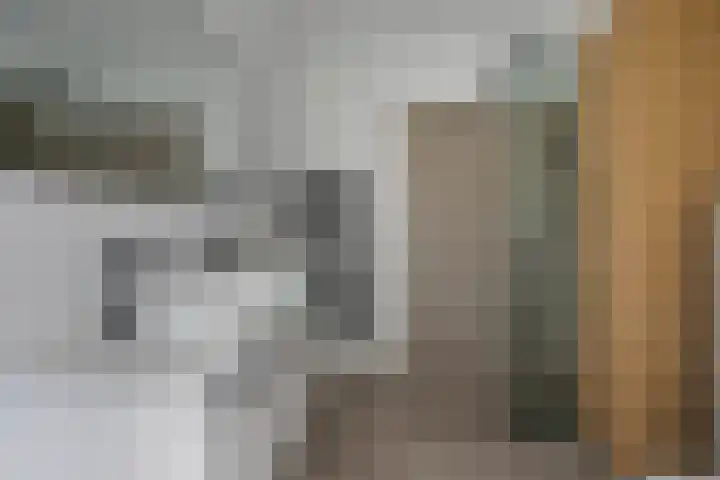 Apollovlinder 25 Terneuzen thumbnail 4
