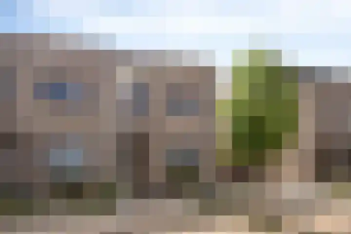Apollovlinder 25 Terneuzen thumbnail 5