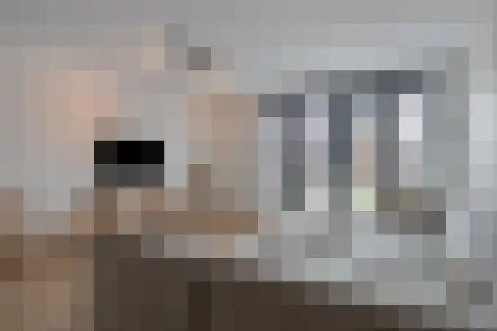 Apollovlinder 25 Terneuzen thumbnail 8