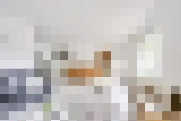 Apollovlinder 30 Bilthoven thumbnail 10