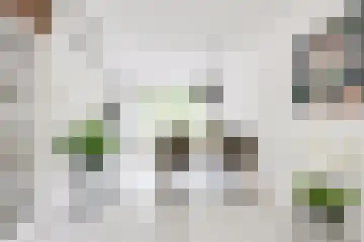 Apollovlinder 30 Bilthoven thumbnail 13