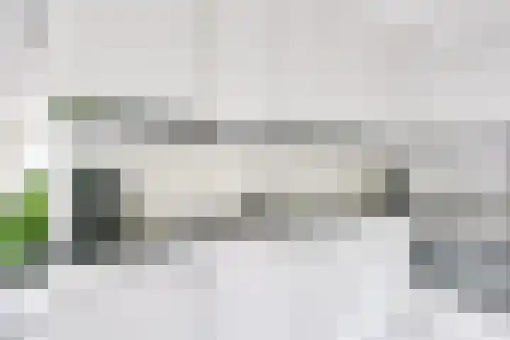 Apollovlinder 30 Bilthoven thumbnail 15
