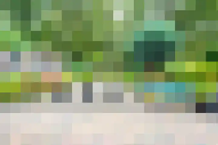 Apollovlinder 30 Bilthoven thumbnail 16