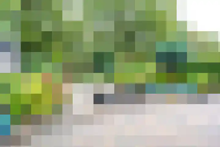 Apollovlinder 30 Bilthoven thumbnail 17