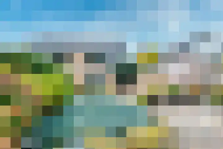 Apollovlinder 30 Bilthoven thumbnail 18