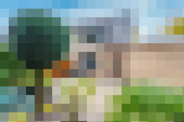 Apollovlinder 30 Bilthoven thumbnail 20