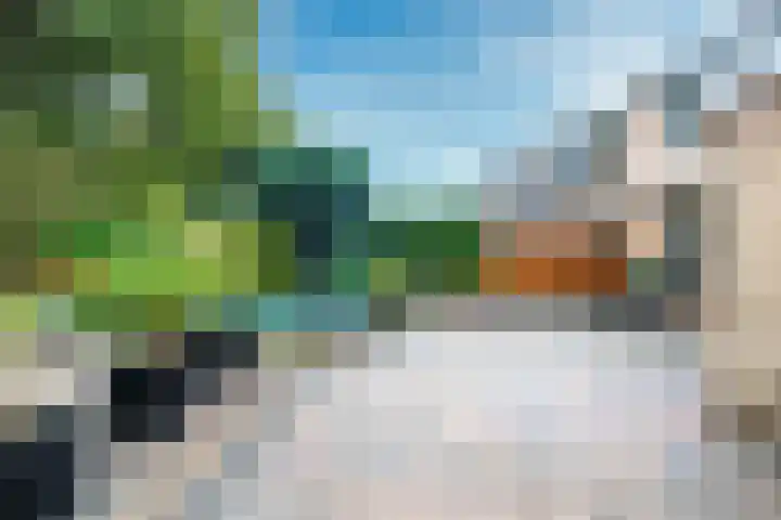 Apollovlinder 30 Bilthoven thumbnail 21