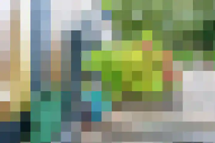 Apollovlinder 30 Bilthoven thumbnail 22