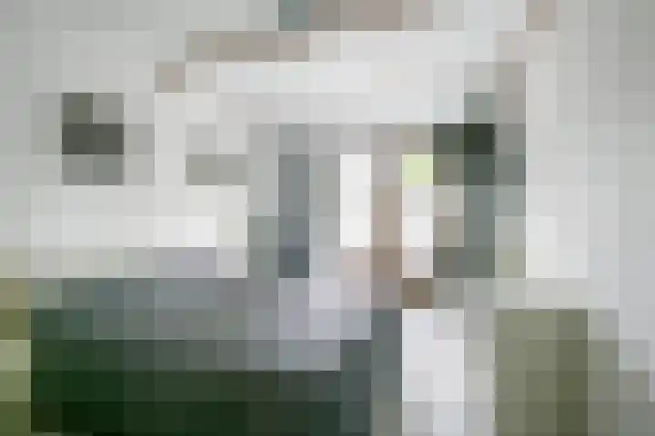 Apollovlinder 30 Bilthoven thumbnail 24