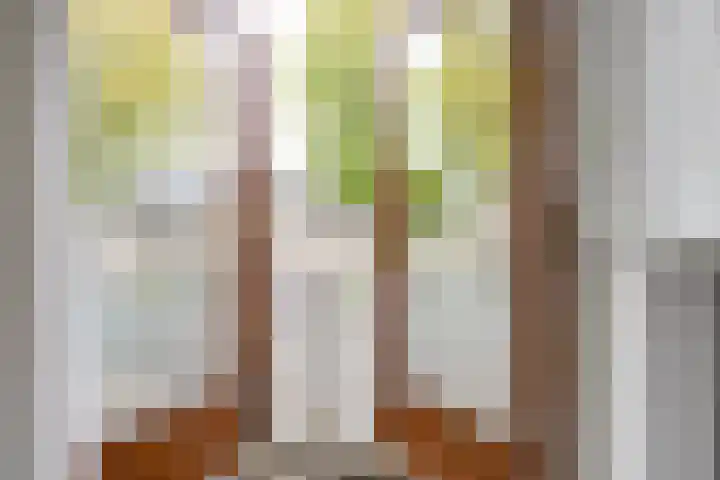 Apollovlinder 30 Bilthoven thumbnail 25