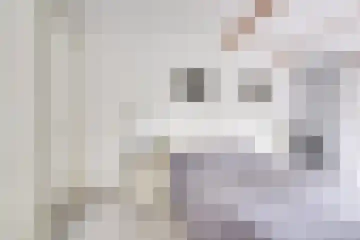 Apollovlinder 30 Bilthoven thumbnail 26