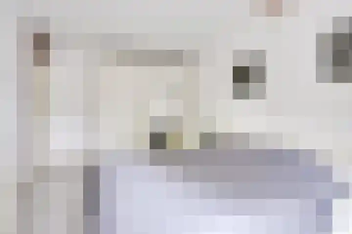 Apollovlinder 30 Bilthoven thumbnail 27