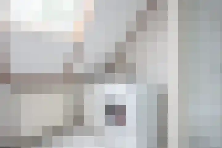 Apollovlinder 30 Bilthoven thumbnail 29