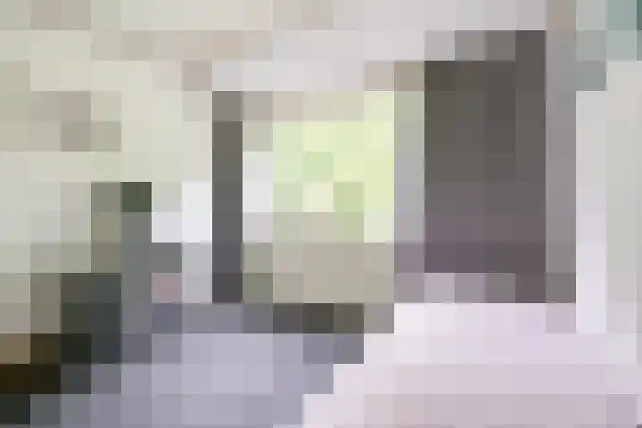 Apollovlinder 30 Bilthoven thumbnail 31