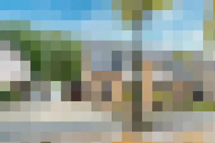 Apollovlinder 30 Bilthoven thumbnail 38