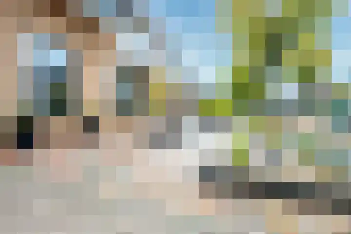 Apollovlinder 30 Bilthoven thumbnail 39