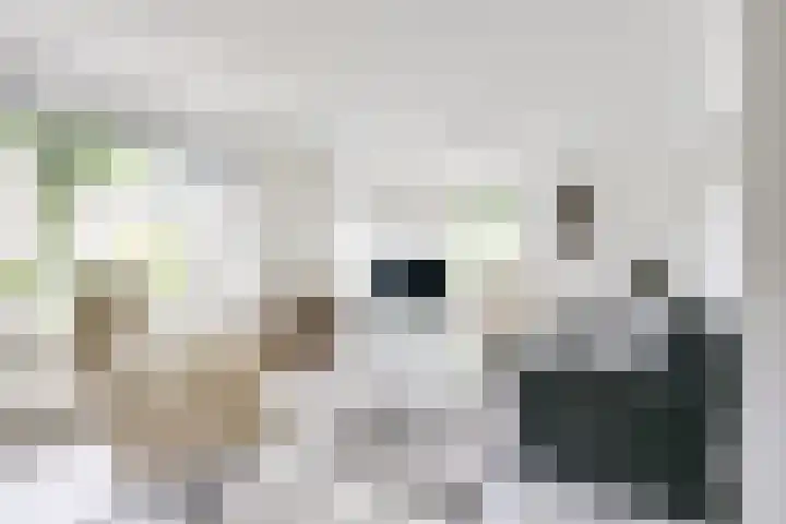 Apollovlinder 30 Bilthoven thumbnail 8