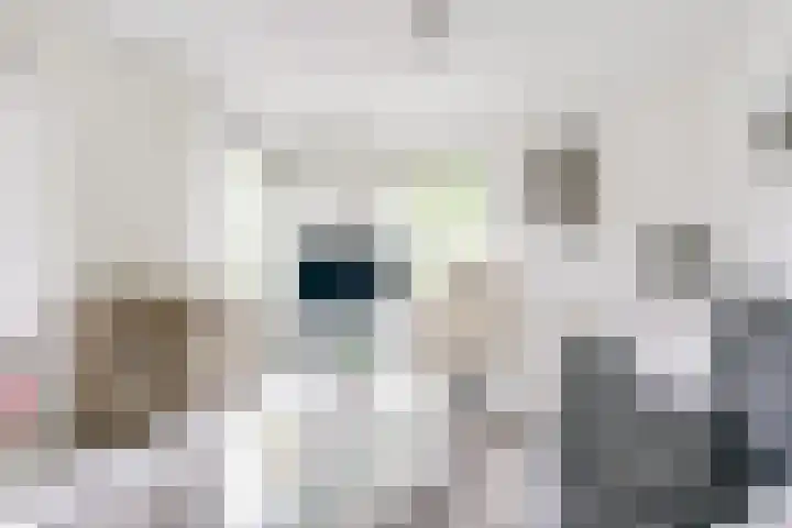 Apollovlinder 30 Bilthoven thumbnail 9