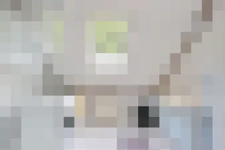Apollovlinder 32 Bilthoven thumbnail 21