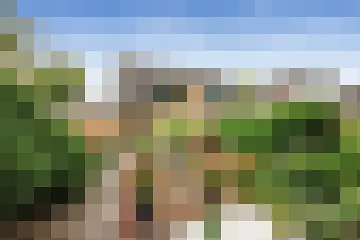 Apollovlinder 32 Bilthoven thumbnail 28