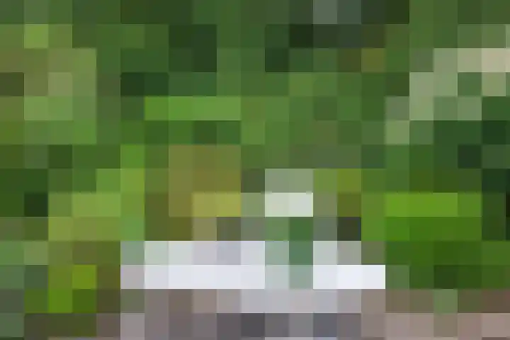 Apollovlinder 32 Bilthoven thumbnail 29