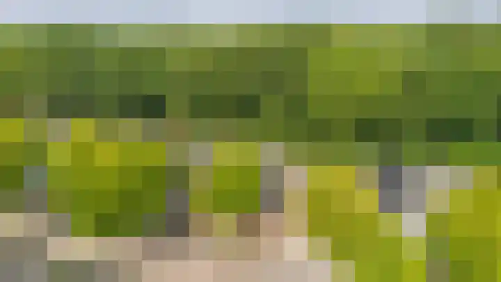 Apollovlinder 32 Bilthoven thumbnail 30