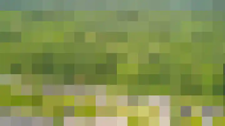 Apollovlinder 32 Bilthoven thumbnail 4