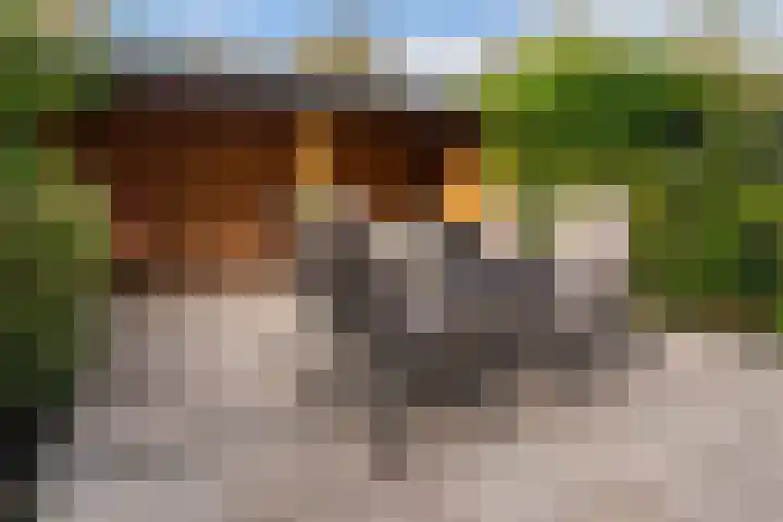 Apollovlinder 34 Amersfoort thumbnail 10
