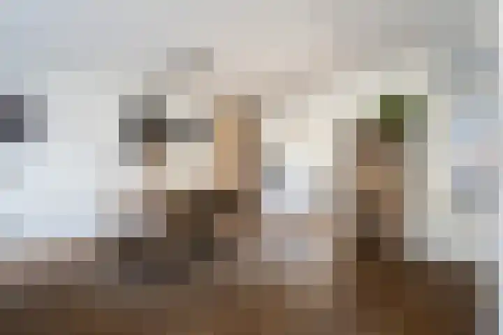 Apollovlinder 34 Amersfoort thumbnail 15